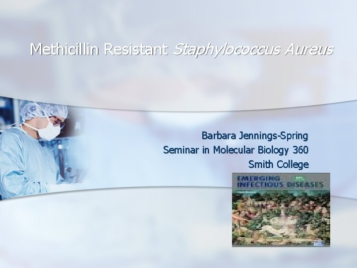 Methicillin Resistant Staphylococcus Aureus Barbara Jennings-Spring Seminar in Molecular Biology 360 Smith College 