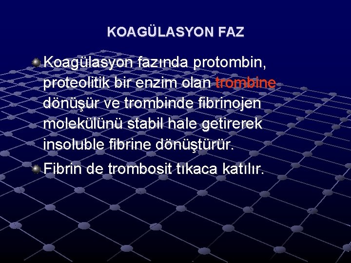 KOAGÜLASYON FAZ Koagülasyon fazında protombin, proteolitik bir enzim olan trombine dönüşür ve trombinde fibrinojen KOAGÜLASYON FAZ Koagülasyon fazında protombin, proteolitik bir enzim olan trombine dönüşür ve trombinde fibrinojen