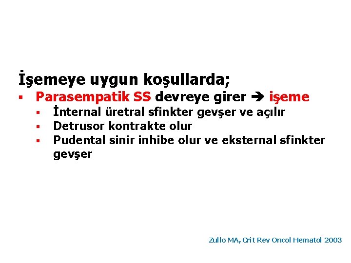 İşemeye uygun koşullarda; § Parasempatik SS devreye girer işeme § § § İnternal üretral