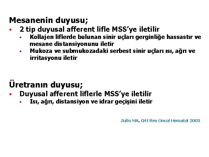 Mesanenin duyusu; § 2 tip duyusal afferent lifle MSS’ye iletilir § § Kollajen liflerde