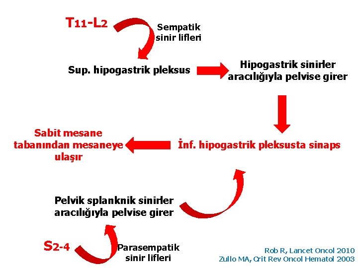 T 11 -L 2 Sempatik sinir lifleri Sup. hipogastrik pleksus Sabit mesane tabanından mesaneye