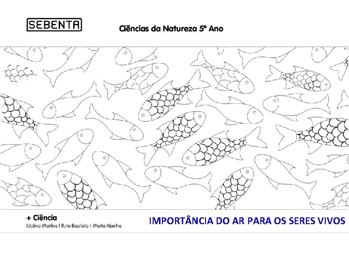 IMPORT NCIA DO AR PARA OS SERES VIVOS IMPORT NCIA DO AR PARA OS SERES VIVOS