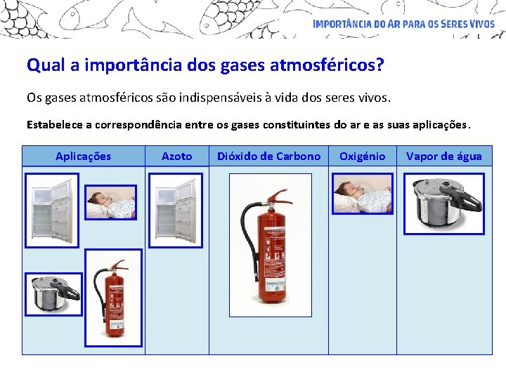 Qual a importância dos gases atmosféricos? Os gases atmosféricos são indispensáveis à vida dos Qual a importância dos gases atmosféricos? Os gases atmosféricos são indispensáveis à vida dos