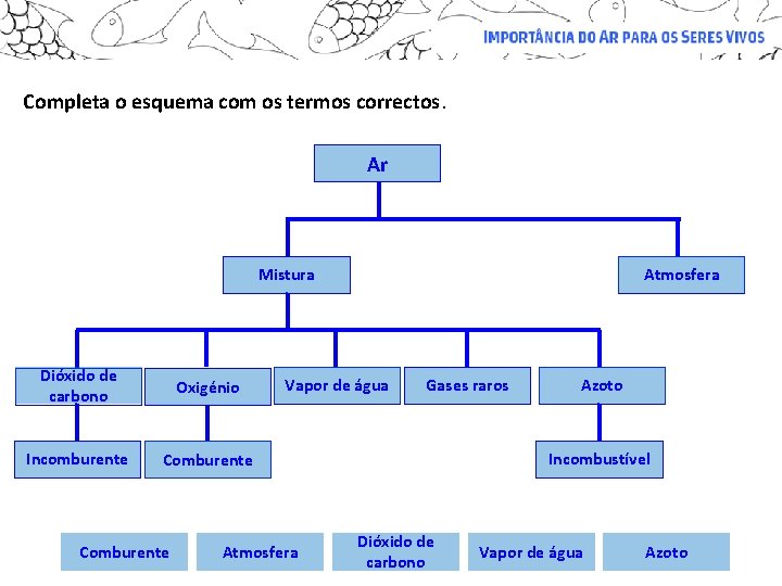 Completa o esquema com os termos correctos. Ar Mistura Dióxido de carbono Oxigénio Incomburente Completa o esquema com os termos correctos. Ar Mistura Dióxido de carbono Oxigénio Incomburente