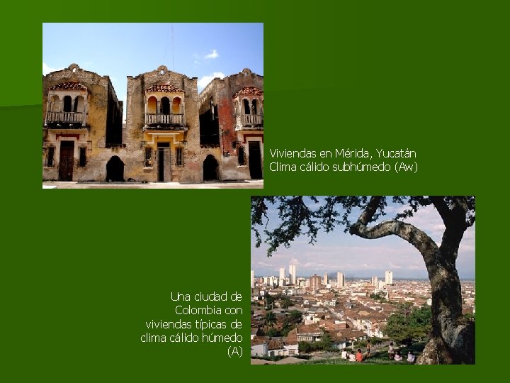 Viviendas en Mérida, Yucatán Clima cálido subhúmedo (Aw) Una ciudad de Colombia con viviendas