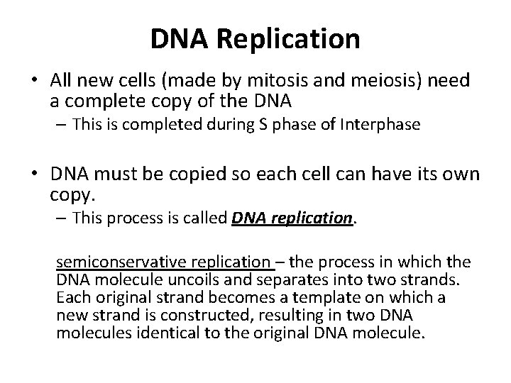 DNA Replication • All new cells (made by mitosis and meiosis) need a complete