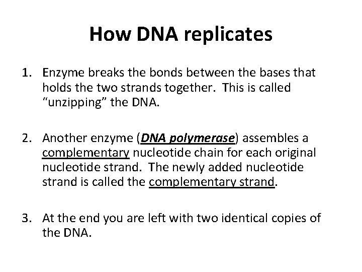 How DNA replicates 1. Enzyme breaks the bonds between the bases that holds the