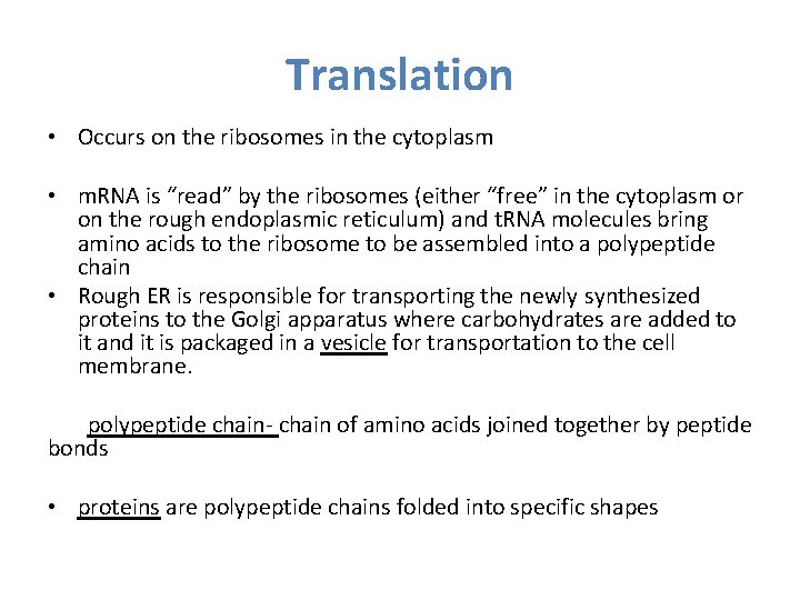 Translation • Occurs on the ribosomes in the cytoplasm • m. RNA is “read”