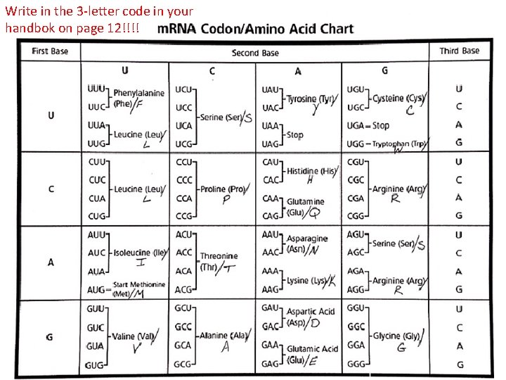 Write in the 3 -letter code in your handbok on page 12!!!! 