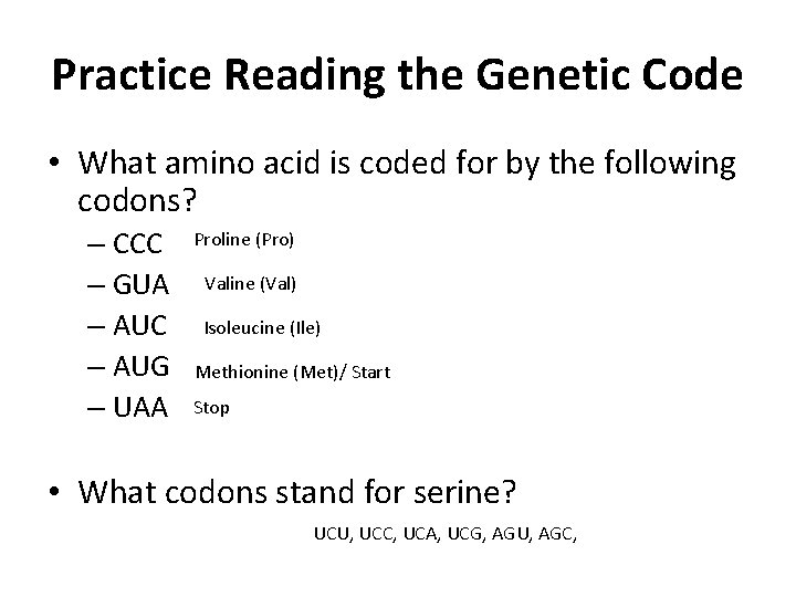 Practice Reading the Genetic Code • What amino acid is coded for by the