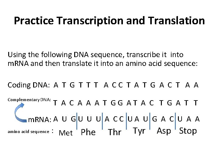 Practice Transcription and Translation Using the following DNA sequence, transcribe it into m. RNA