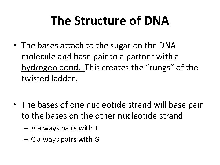The Structure of DNA • The bases attach to the sugar on the DNA