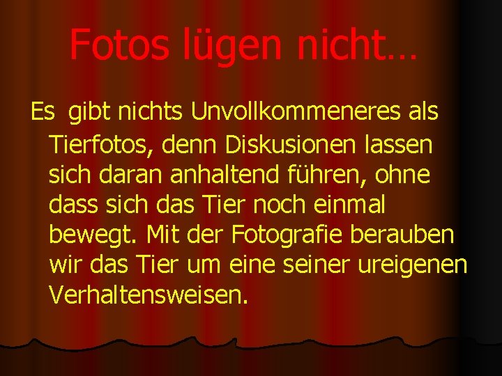 Fotos lügen nicht… Es gibt nichts Unvollkommeneres als Tierfotos, denn Diskusionen lassen sich daran