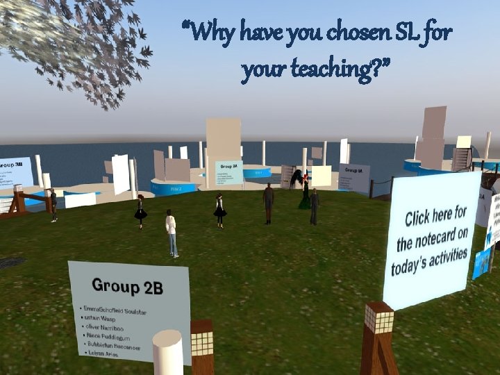 “Why have you chosen SL for your teaching? ” 