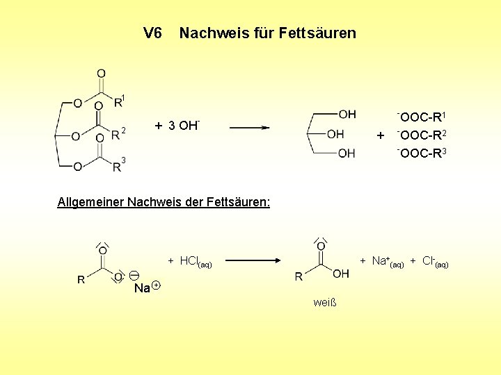 V 6 Nachweis für Fettsäuren 1 2 + 3 OH - - + 3 V 6 Nachweis für Fettsäuren 1 2 + 3 OH - - + 3