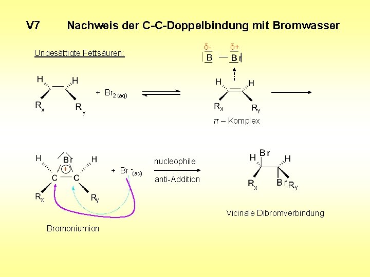 V 7 Nachweis der C-C-Doppelbindung mit Bromwasser δ- Ungesättigte Fettsäuren: δ+ + Br 2 V 7 Nachweis der C-C-Doppelbindung mit Bromwasser δ- Ungesättigte Fettsäuren: δ+ + Br 2