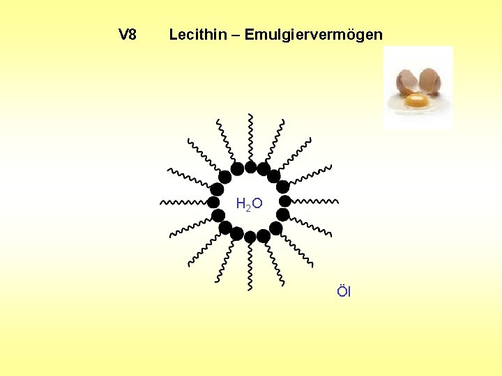 V 8 Lecithin – Emulgiervermögen H 2 O Öl V 8 Lecithin – Emulgiervermögen H 2 O Öl