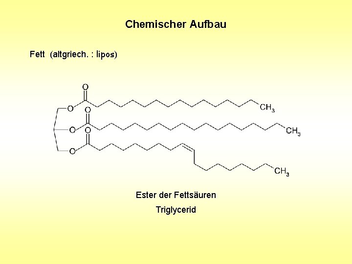 Chemischer Aufbau Fett (altgriech. : lipos) Ester der Fettsäuren Triglycerid Chemischer Aufbau Fett (altgriech. : lipos) Ester der Fettsäuren Triglycerid