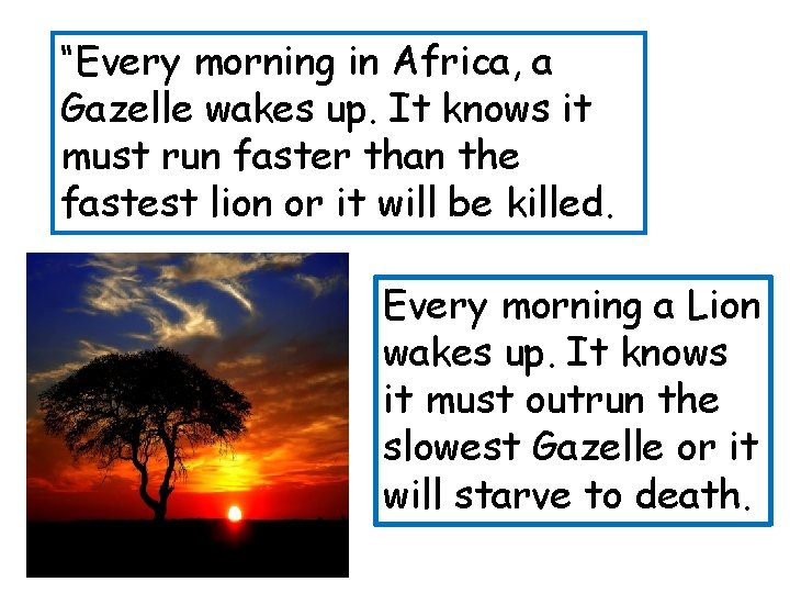 “Every morning in Africa, a Gazelle wakes up. It knows it must run faster