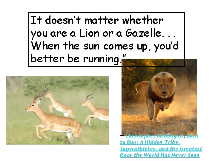 It doesn’t matter whether you are a Lion or a Gazelle. . . When