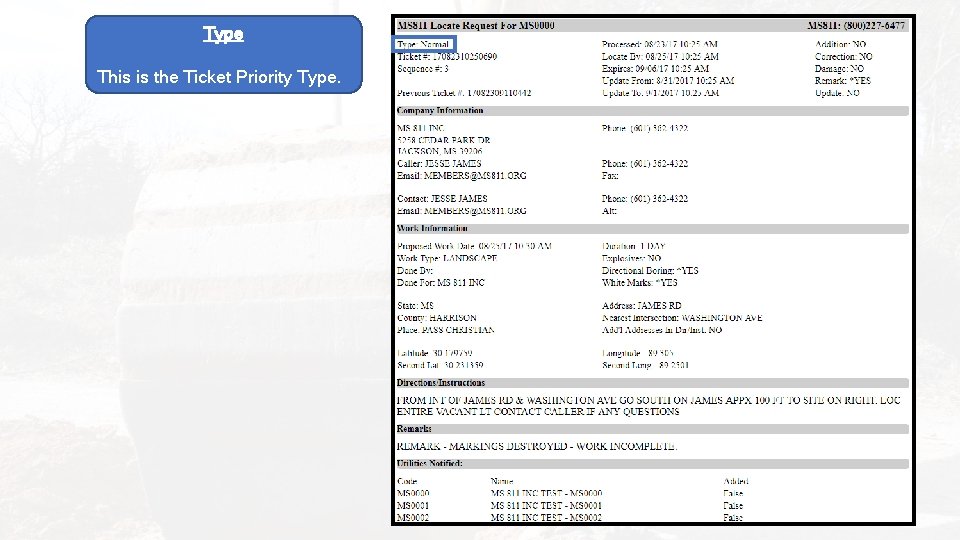 Type This is the Ticket Priority Type. 
