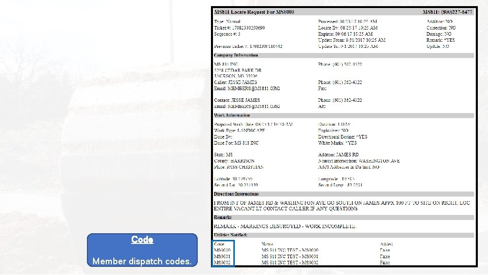 Code Member dispatch codes. 