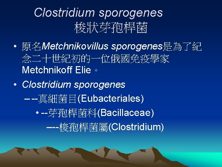 Clostridium sporogenes 梭狀芽孢桿菌 • 原名Metchnikovillus sporogenes是為了紀 念二十世紀初的一位俄國免疫學家 Metchnikoff Elie。 • Clostridium sporogenes – --真細菌目(Eubacteriales)