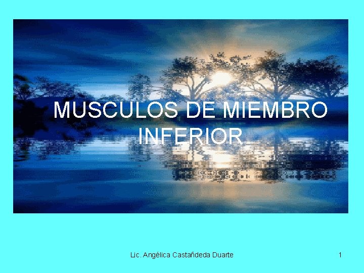 MUSCULOS DE MIEMBRO INFERIOR Lic. Angélica Castañdeda Duarte 1 