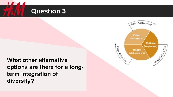 Question 3 What other alternative options are there for a longterm integration of diversity?