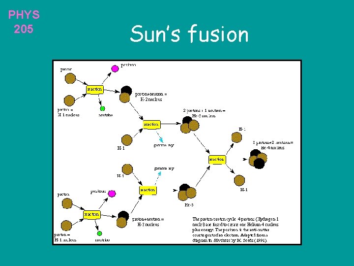 PHYS 205 Sun’s fusion 