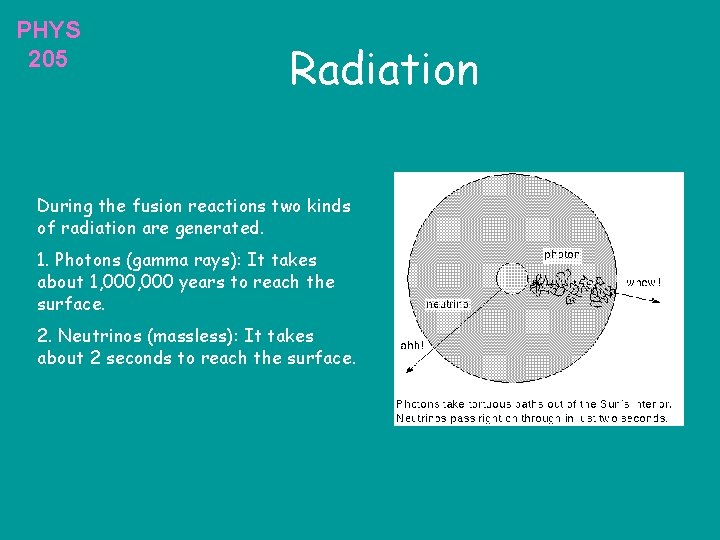 PHYS 205 Radiation During the fusion reactions two kinds of radiation are generated. 1.