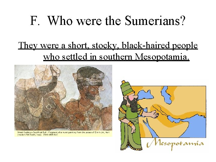 F. Who were the Sumerians? They were a short, stocky, black-haired people who settled