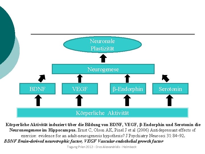 Neuronale Plastizität Neurogenese BDNF VEGF β-Endorphin Serotonin Körperliche Aktivität induziert über die Bildung von