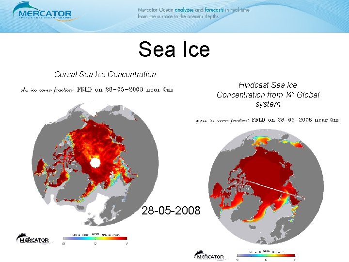 Sea Ice Cersat Sea Ice Concentration Hindcast Sea Ice Concentration from ¼° Global system