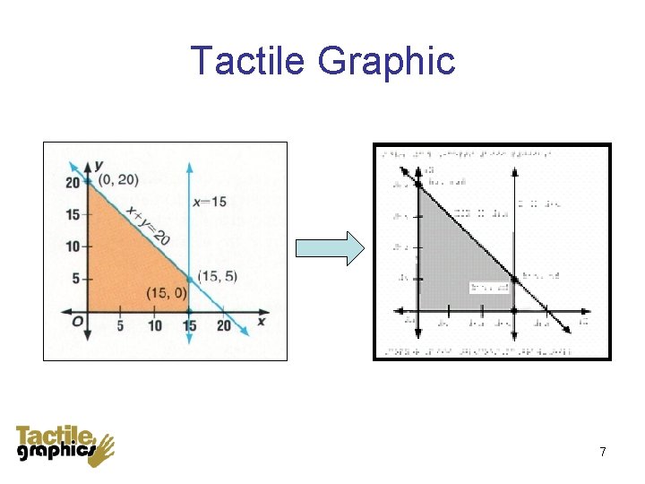 Tactile Graphic 7 