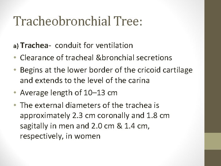 Tracheobronchial Tree: a) Trachea- • • conduit for ventilation Clearance of tracheal &bronchial secretions