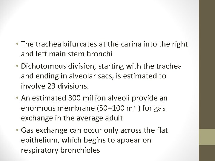  • The trachea bifurcates at the carina into the right and left main