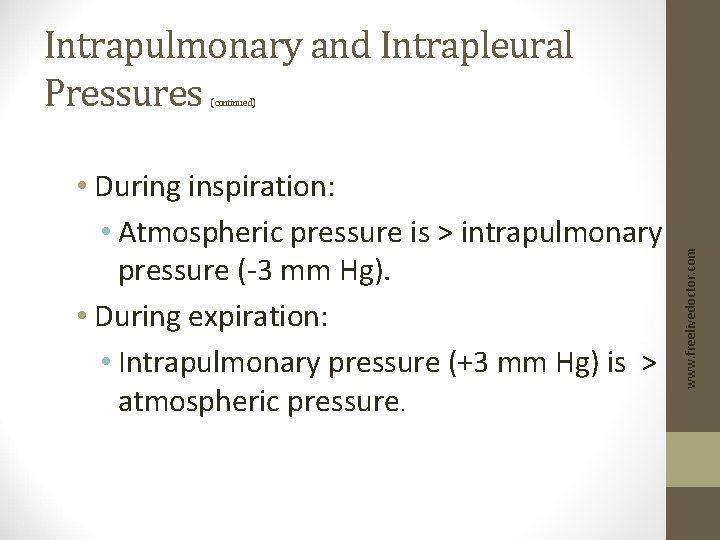 Intrapulmonary and Intrapleural Pressures • During inspiration: • Atmospheric pressure is > intrapulmonary pressure