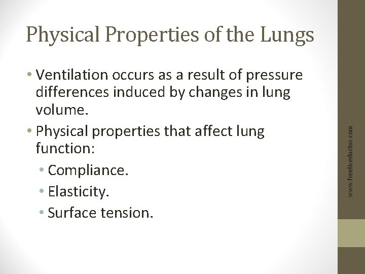  • Ventilation occurs as a result of pressure differences induced by changes in