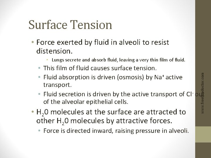 Surface Tension • Force exerted by fluid in alveoli to resist distension. • Lungs