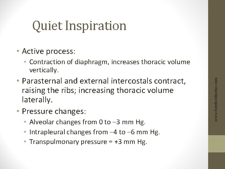 Quiet Inspiration • Active process: • Parasternal and external intercostals contract, raising the ribs;