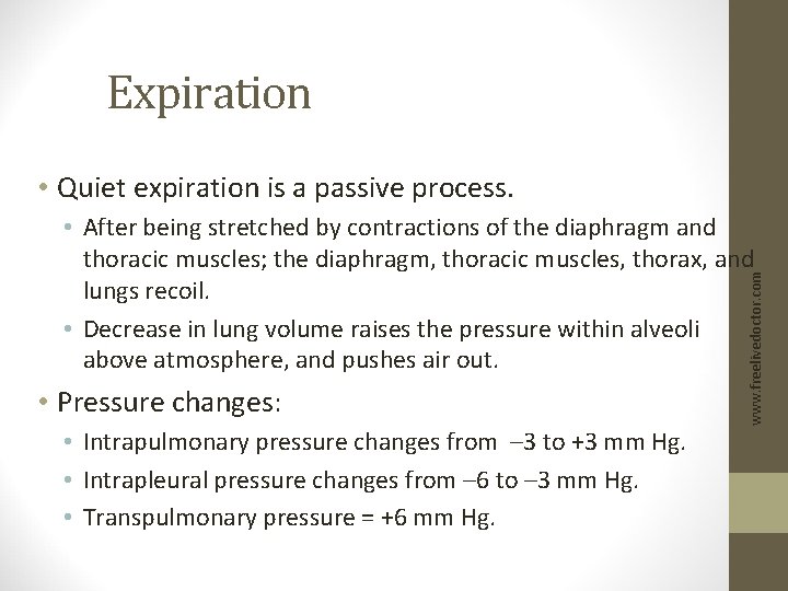 Expiration • Quiet expiration is a passive process. • Pressure changes: • Intrapulmonary pressure