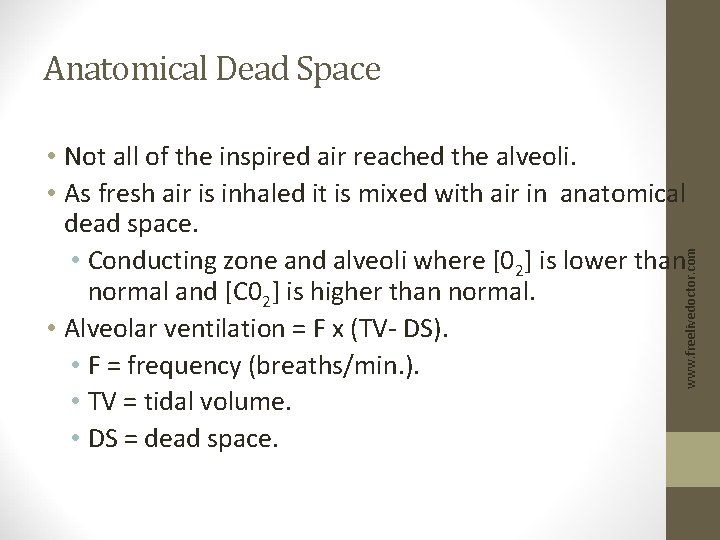 Anatomical Dead Space www. freelivedoctor. com • Not all of the inspired air reached