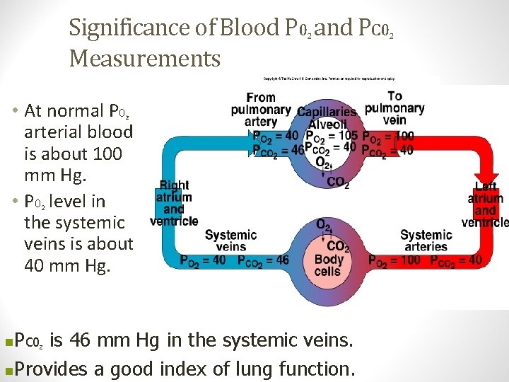 Significance of Blood P 0 and PC 0 Measurements 2 • At normal P