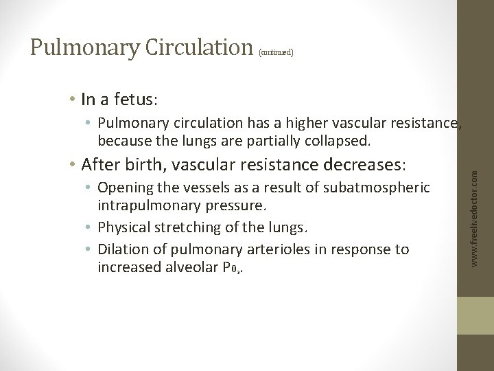 Pulmonary Circulation (continued) • In a fetus: • After birth, vascular resistance decreases: •