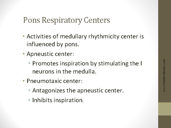  • Activities of medullary rhythmicity center is influenced by pons. • Apneustic center: