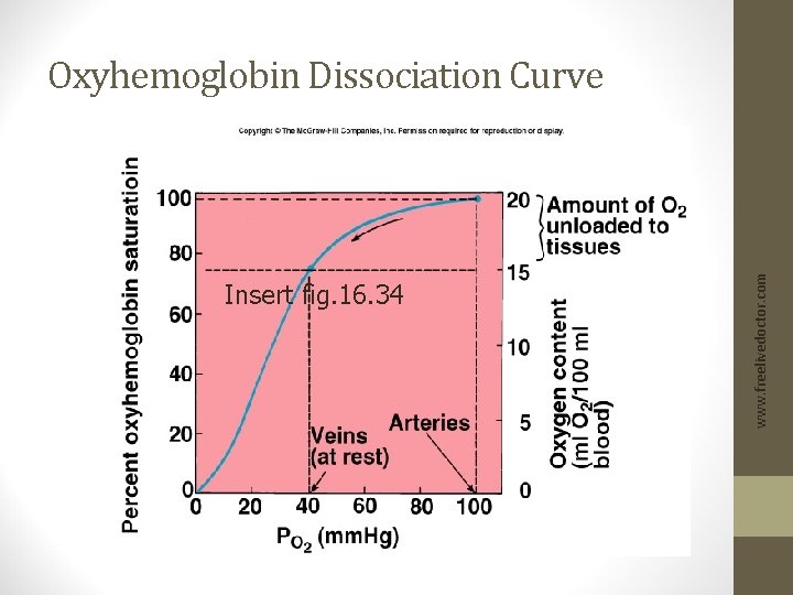 Insert fig. 16. 34 www. freelivedoctor. com Oxyhemoglobin Dissociation Curve 
