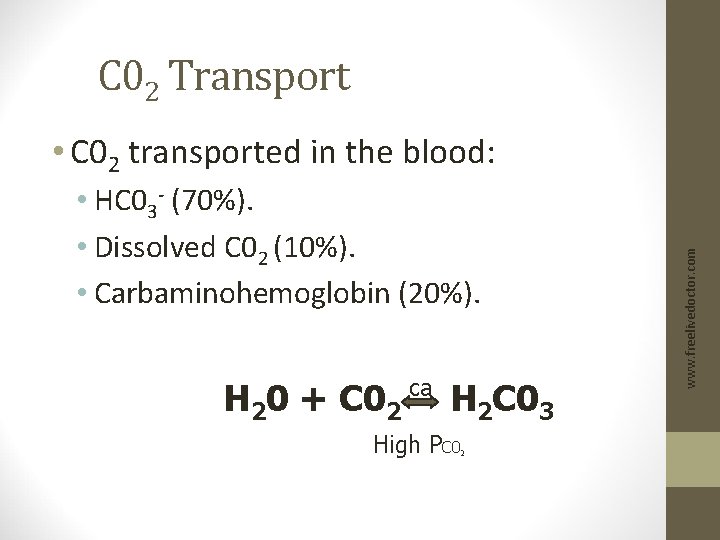 C 02 Transport • HC 03 - (70%). • Dissolved C 02 (10%). •