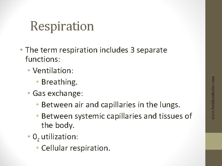  • The term respiration includes 3 separate functions: • Ventilation: • Breathing. •