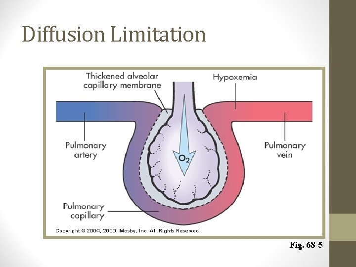 Diffusion Limitation Fig. 68 -5 